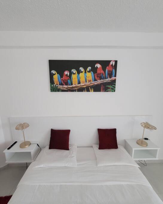 Hello Guyane, Suite Collection  Cayenne Esterno foto