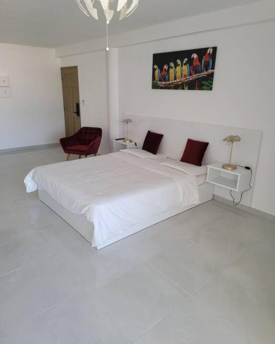 Hello Guyane, Suite Collection  Cayenne Esterno foto