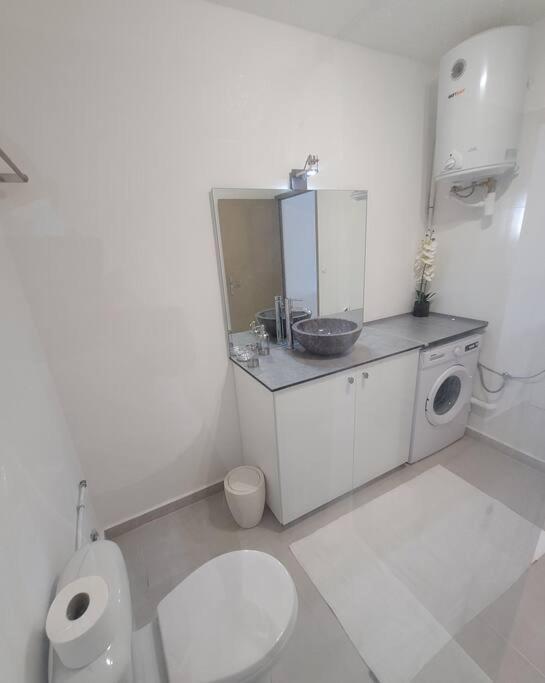 Hello Guyane, Suite Collection  Cayenne Esterno foto