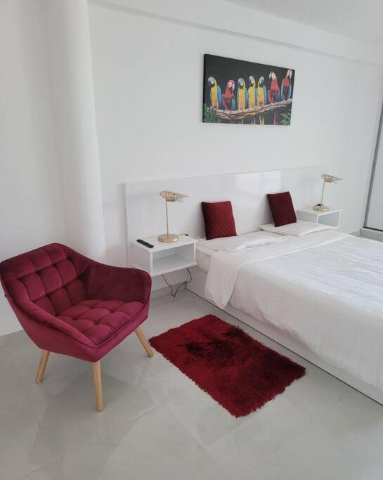 Hello Guyane, Suite Collection  Cayenne Esterno foto