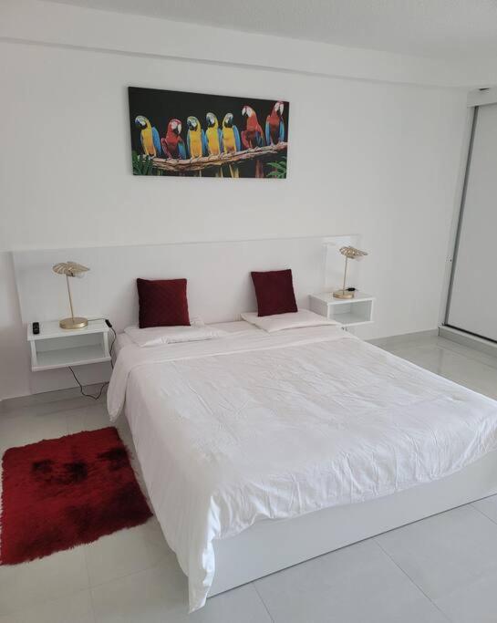 Hello Guyane, Suite Collection  Cayenne Esterno foto